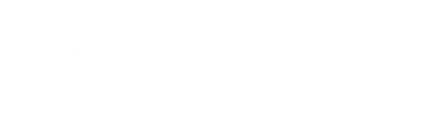 Fuzion Foton - Foton logo